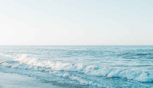 りんちゃんがイラストを描いたよ